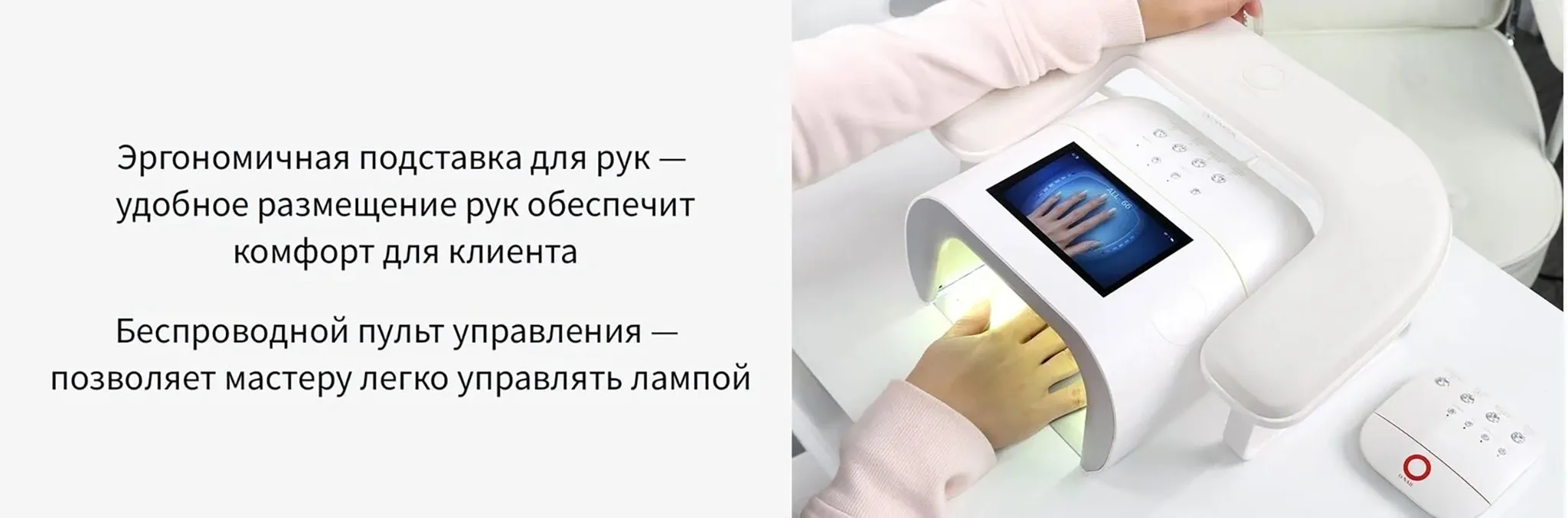 222 (1).webp